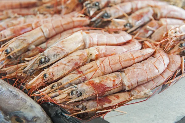 Collection de crevettes exposée au restaurant de fruits de mer — Photo