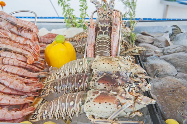 Samling av fisk och skaldjur på displayen på en restaurang — Stockfoto