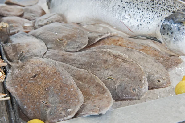 Samling av färsk rödspätta i och skaldjursrestaurang — Stockfoto