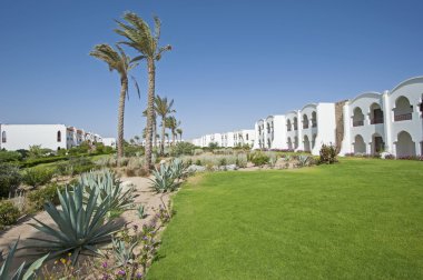 Tropikal hotel resort gerekçesiyle bahçelerinde