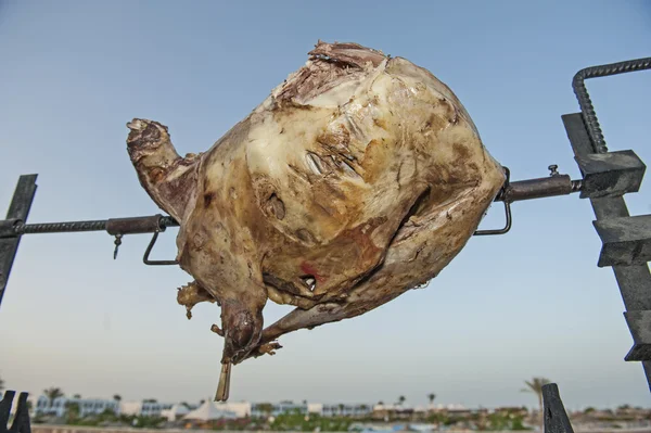 Carne di agnello intero che cuoce su spiedo arrosto sopra barbecue — Foto Stock