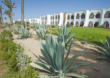Tropik bahçelerin bir lüks otel resort doğum
