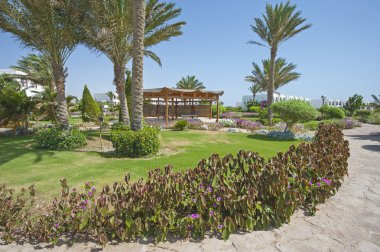 Bir lüks otel tatil tropikal bahçeler