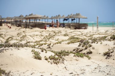 Kum tepeleri ile bir otel tatil tropikal kumlu plaj