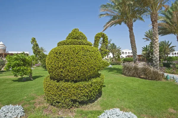 Tropische Gärten in einem luxuriösen Hotelresort — Stockfoto