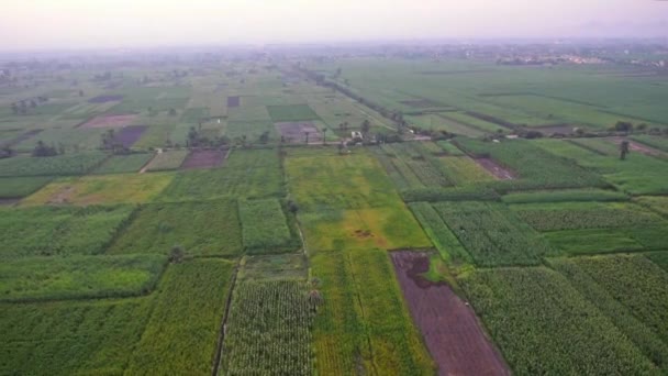 Aerial view of rural farmland fields — Stock Video