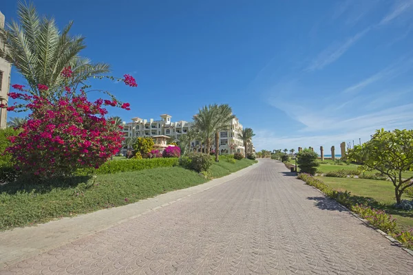 Pohled Pěší Stezku Krásných Upravených Zahradách Tropickém Hotelovém Resortu — Stock fotografie