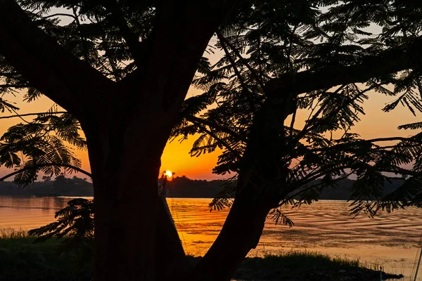 Vista Através Grande Rio Nilo Egito Através Paisagem Rural Árvore — Fotografia de Stock