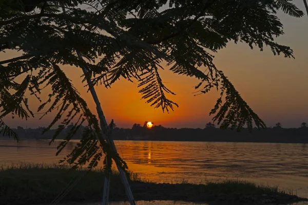 View Large Wide River Nile Egypt Rural Countryside Tree Landscape — Stock Photo, Image