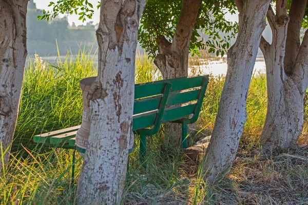 Cena Paisagem Campo Rural Banco Parque Madeira Árvores Por Grande — Fotografia de Stock