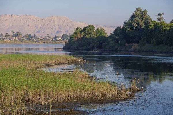 Panoramiczny Krajobraz Wsi Widok Duży Nilu Rzeki Suchym Środowisku Pokazuje — Zdjęcie stockowe