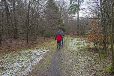 Yaşlı bir çift kışın kırsal alanda uzak bir ormanlık alanda patika boyunca yürüyor.