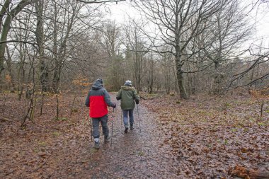 Yaşlı bir çift kışın kırsal alanda uzak bir ormanlık alanda patika boyunca yürüyor.