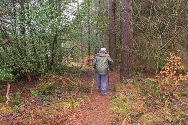 Yaşlı bir çift kışın kırsal alanda uzak bir ormanlık alanda patika boyunca yürüyor.