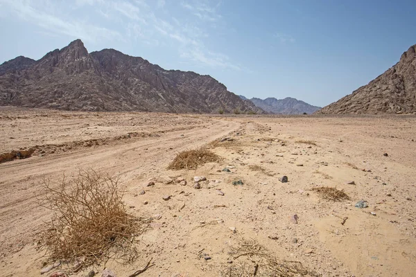 Landscape scenic view of desolate barren eastern desert in Egypt with trail and mountains