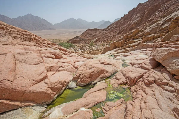 Piscina Agua Dulce Bajo Voladizo Cañón Montaña Del Desierto —  Fotos de Stock