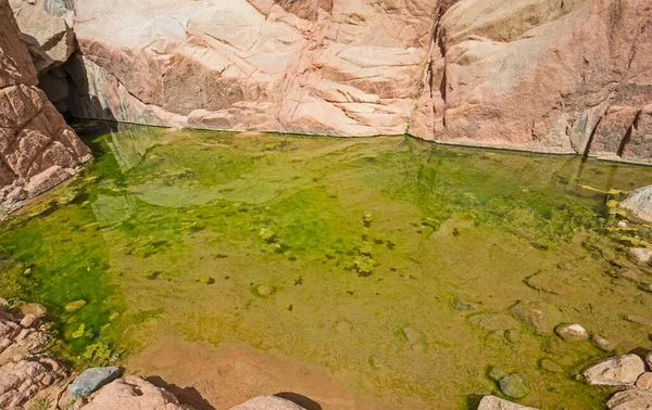 Piscina Acqua Dolce Sotto Strapiombo Nel Canyon Montagna Del Deserto — Foto Stock