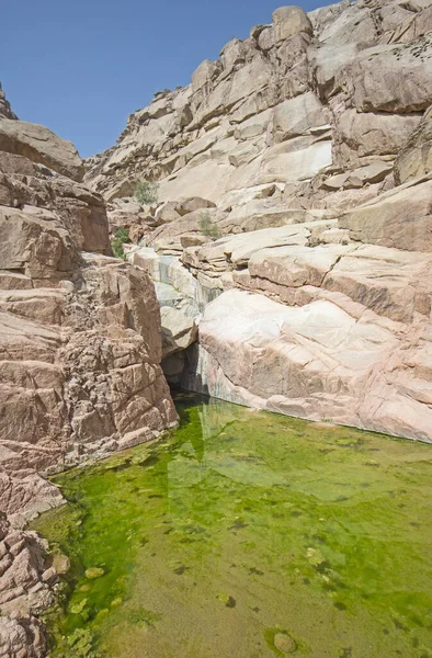 Piscina Agua Dulce Bajo Voladizo Cañón Montaña Del Desierto —  Fotos de Stock