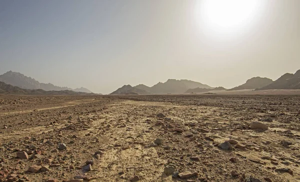 Landschaft Malerischen Blick Auf Trostlose Karge Felsige Östliche Wüste Ägypten — Stockfoto