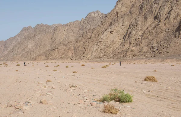 Landscape Scenic View Desolate Barren Eastern Desert Egypt Adventure Cyclists — Stock Photo, Image