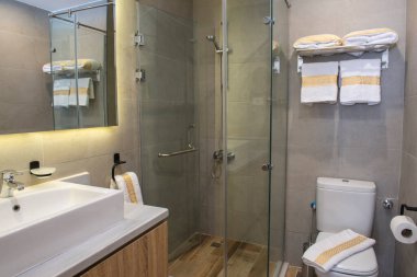 Duş kabini ve lavabosu olan lüks bir ev tuvaletinin iç tasarımı.