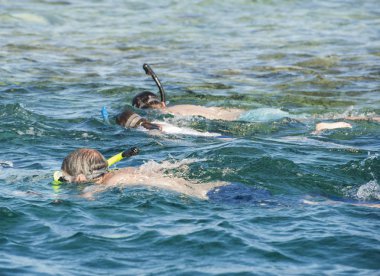 Snorkelers tropik resif üzerinde