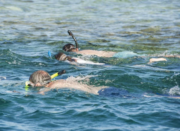 Snorkelers sur récif tropical — Photo