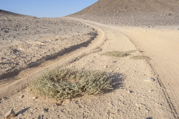 Utwory pojazdu poprzez jałową pustynię — Zdjęcie stockowe