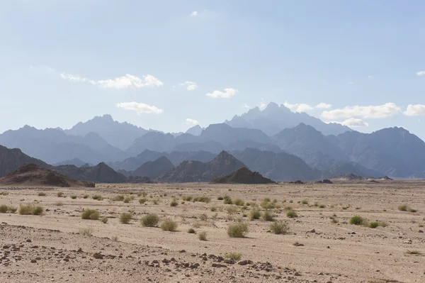 Paisaje rocoso del desierto con montañas —  Fotos de Stock