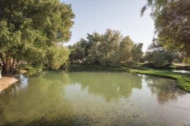 Küçük gölet bir kırsal parkta