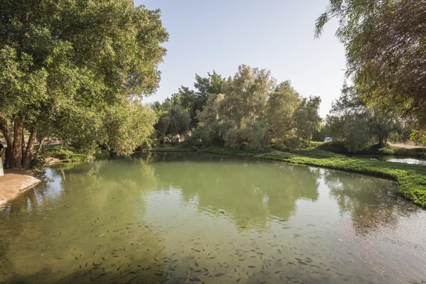 Kleine vijver in een platteland park — Stockfoto