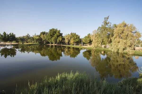 Trees reflecting in pond at a rural park — Stock Photo, Image