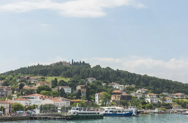 Rural coastal hillside with luxury housing — Stock Photo, Image