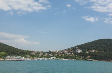 Rural coastal hillside with luxury housing