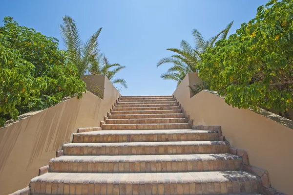 Escalones de piedra en un jardín tropical — Foto de Stock