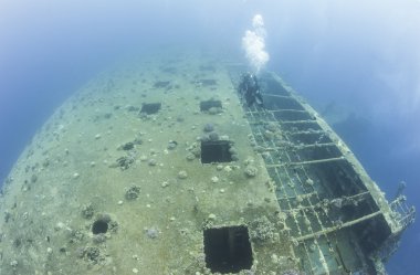 Büyük bir gemi enkazı keşfetmek dalgıç