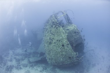 Büyük bir gemi enkazı keşfetmek dalgıç