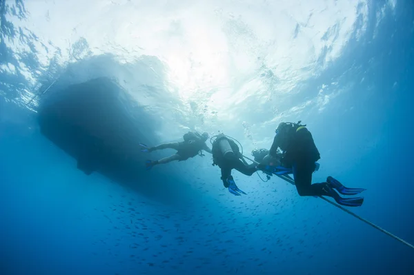 Taucher dekomprimieren Unterwasser an einem Seil — Stockfoto