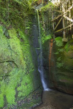 Küçük şelale sarp kayalıklardan aşağı yuvarlanarak yeşil yosunlar ve bitki örtüsüyle sığ su birikintisine dönüşür.