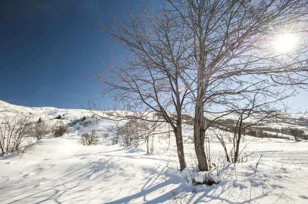 Oferuje panoramiczny widok na zaśnieżonym stoku z gołe drzewa — Zdjęcie stockowe