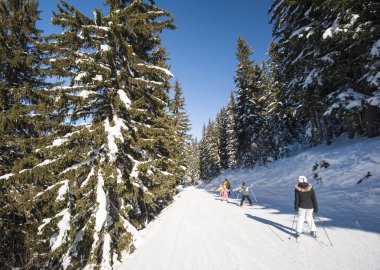 Kayakçı Bakırlı aracılığıyla ağaçlar üzerinde