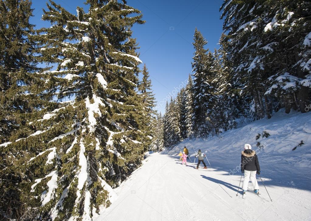 Skiers on piste through trees