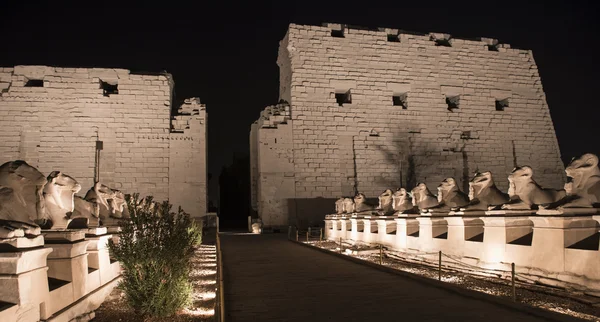 Tempio di Karnak a Luxor di notte — Foto Stock