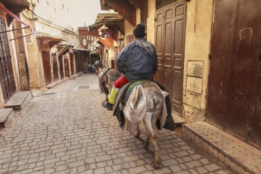 fez sokak içinde eşek