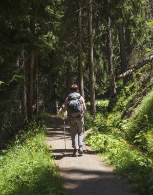 uzun yürüyüşe çıkan kimse orman yolu üzerinde