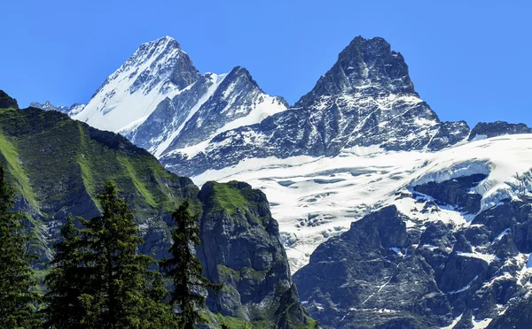 Swiss aralıktaki güzel tepeler — Stok fotoğraf