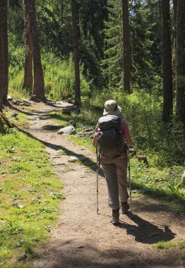 uzun yürüyüşe çıkan kimse orman yolu üzerinde