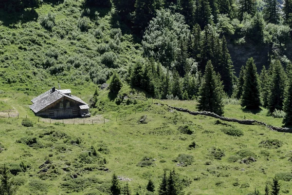 典型的瑞士风景 — 图库照片