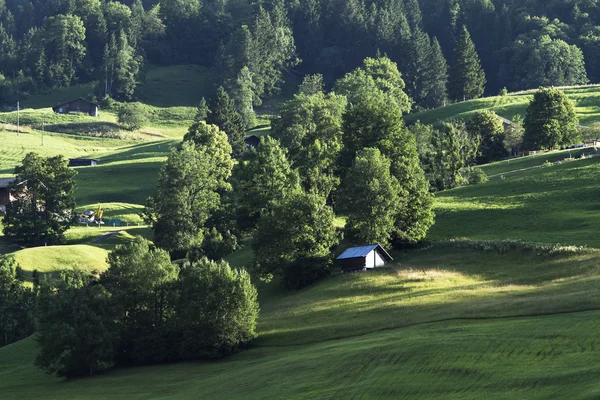 典型的瑞士风景 — 图库照片