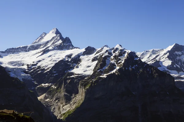 Swiss montains grindelwald üzerinden — Stok fotoğraf